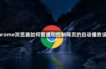 Chrome浏览器如何管理和控制网页的自动播放设置1
