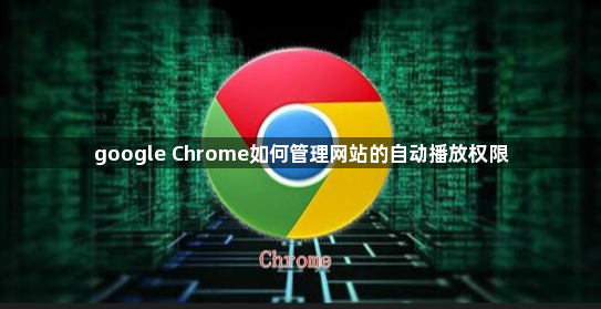 google Chrome如何管理网站的自动播放权限1