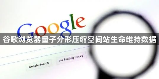 谷歌浏览器量子分形压缩空间站生命维持数据1