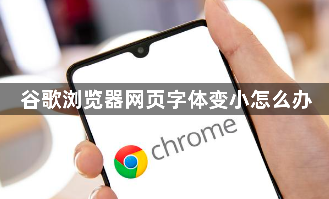 谷歌浏览器网页字体变小怎么办1