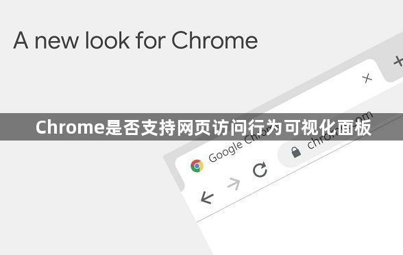 Chrome是否支持网页访问行为可视化面板1