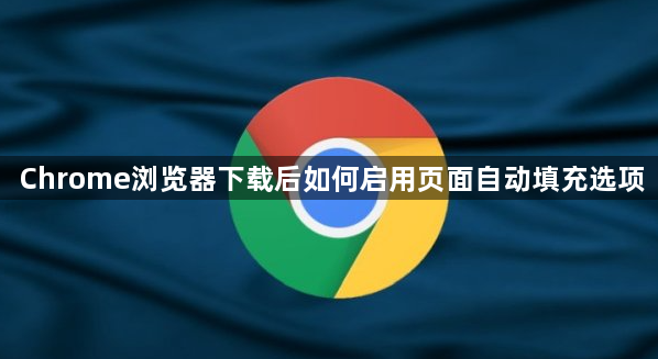 Chrome浏览器下载后如何启用页面自动填充选项1
