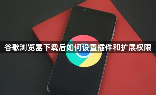 谷歌浏览器下载后如何设置插件和扩展权限1