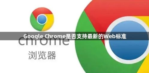 Google Chrome是否支持最新的Web标准1