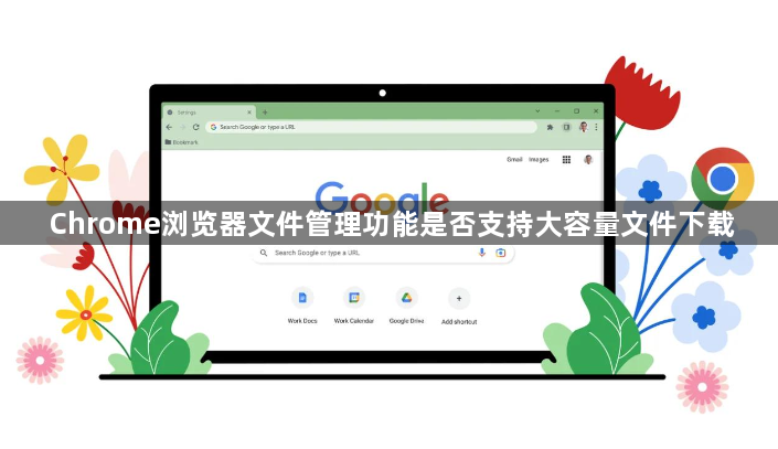 Chrome浏览器文件管理功能是否支持大容量文件下载1
