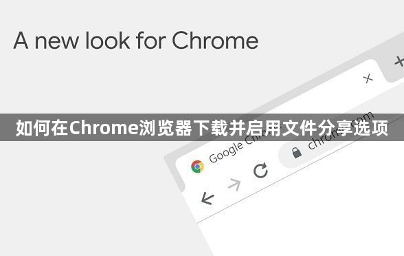 如何在Chrome浏览器下载并启用文件分享选项1