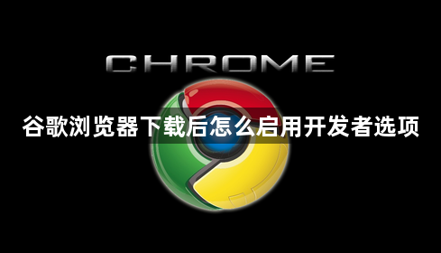 谷歌浏览器下载后怎么启用开发者选项1