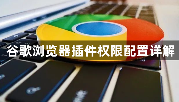 谷歌浏览器插件权限配置详解1