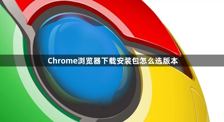 Chrome浏览器下载安装包怎么选版本1