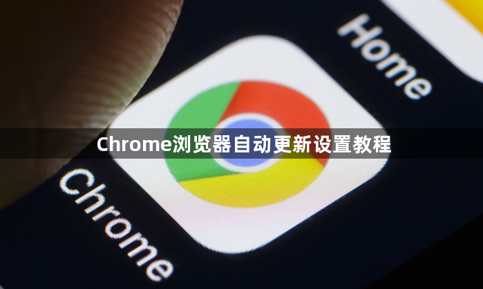 Chrome浏览器自动更新设置教程1