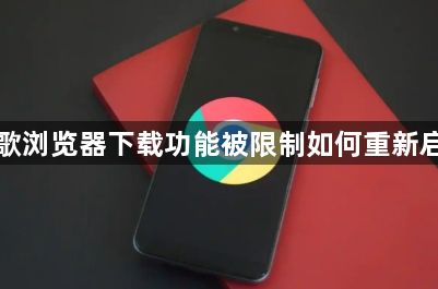 谷歌浏览器下载功能被限制如何重新启用1