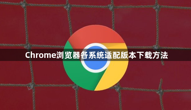 Chrome浏览器各系统适配版本下载方法1