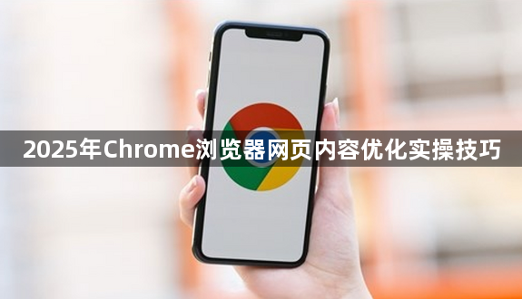 2025年Chrome浏览器网页内容优化实操技巧1