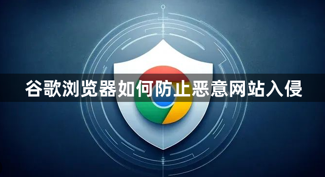 谷歌浏览器如何防止恶意网站入侵1