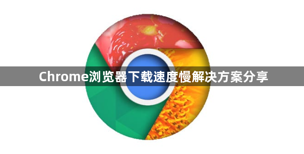 Chrome浏览器下载速度慢解决方案分享1