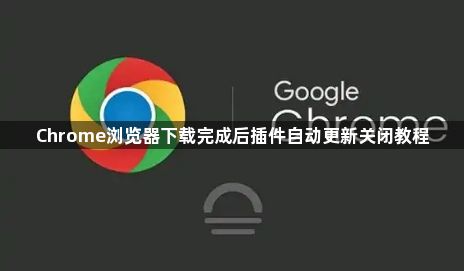 Chrome浏览器下载完成后插件自动更新关闭教程1