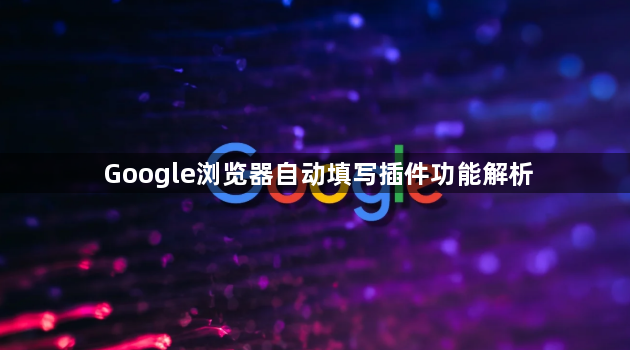 Google浏览器自动填写插件功能解析1