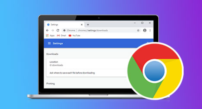 Google浏览器设置文件下载时不记录历史是否可自定义实现