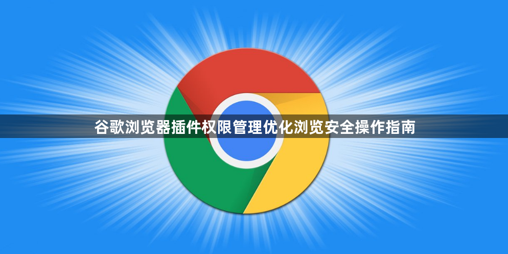 谷歌浏览器插件权限管理优化浏览安全操作指南1