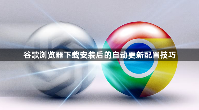 谷歌浏览器下载安装后的自动更新配置技巧1
