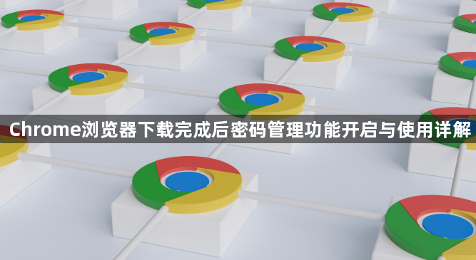 Chrome浏览器下载完成后密码管理功能开启与使用详解1