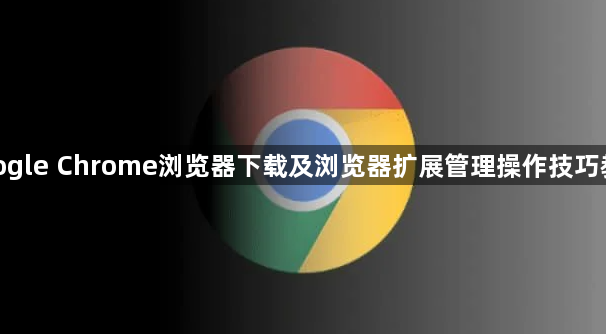google Chrome浏览器下载及浏览器扩展管理操作技巧教程1