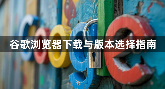 谷歌浏览器下载与版本选择指南1