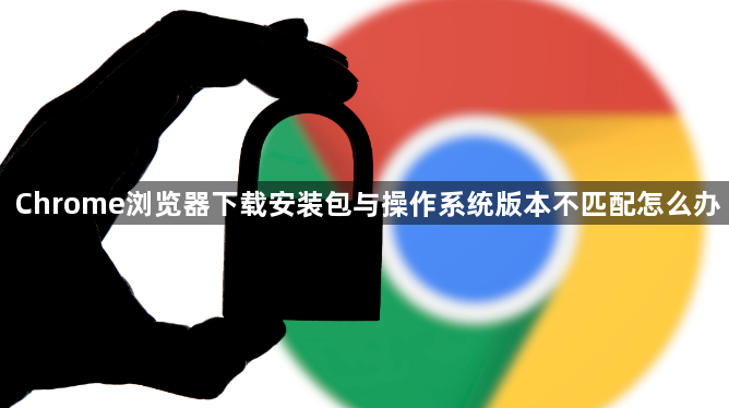 Chrome浏览器下载安装包与操作系统版本不匹配怎么办1