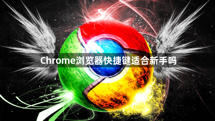 Chrome浏览器快捷键适合新手吗1