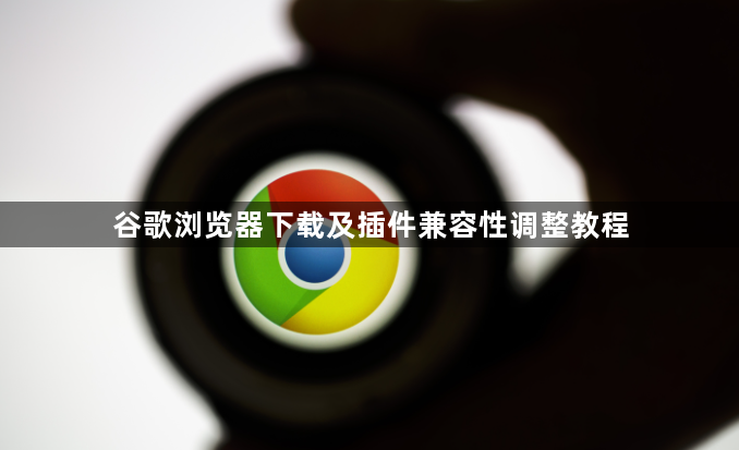 谷歌浏览器下载及插件兼容性调整教程1