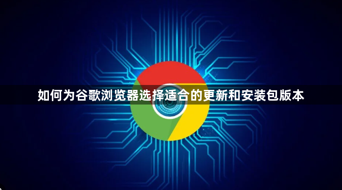 如何为谷歌浏览器选择适合的更新和安装包版本1