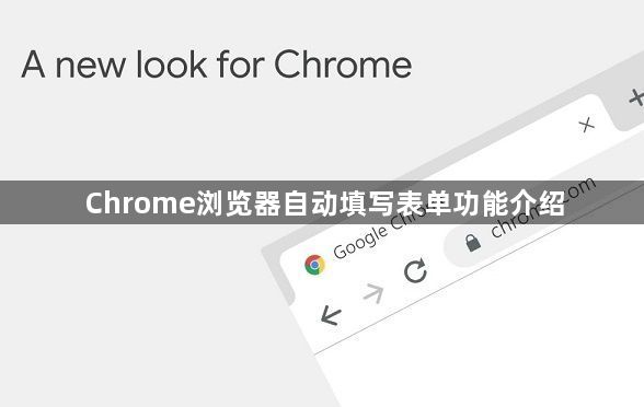 Chrome浏览器自动填写表单功能介绍1