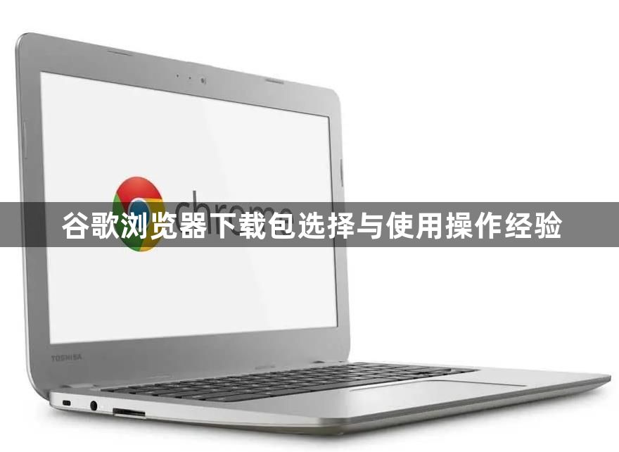 谷歌浏览器下载包选择与使用操作经验1