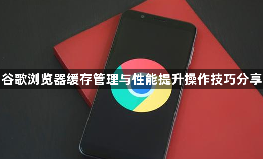 谷歌浏览器缓存管理与性能提升操作技巧分享1